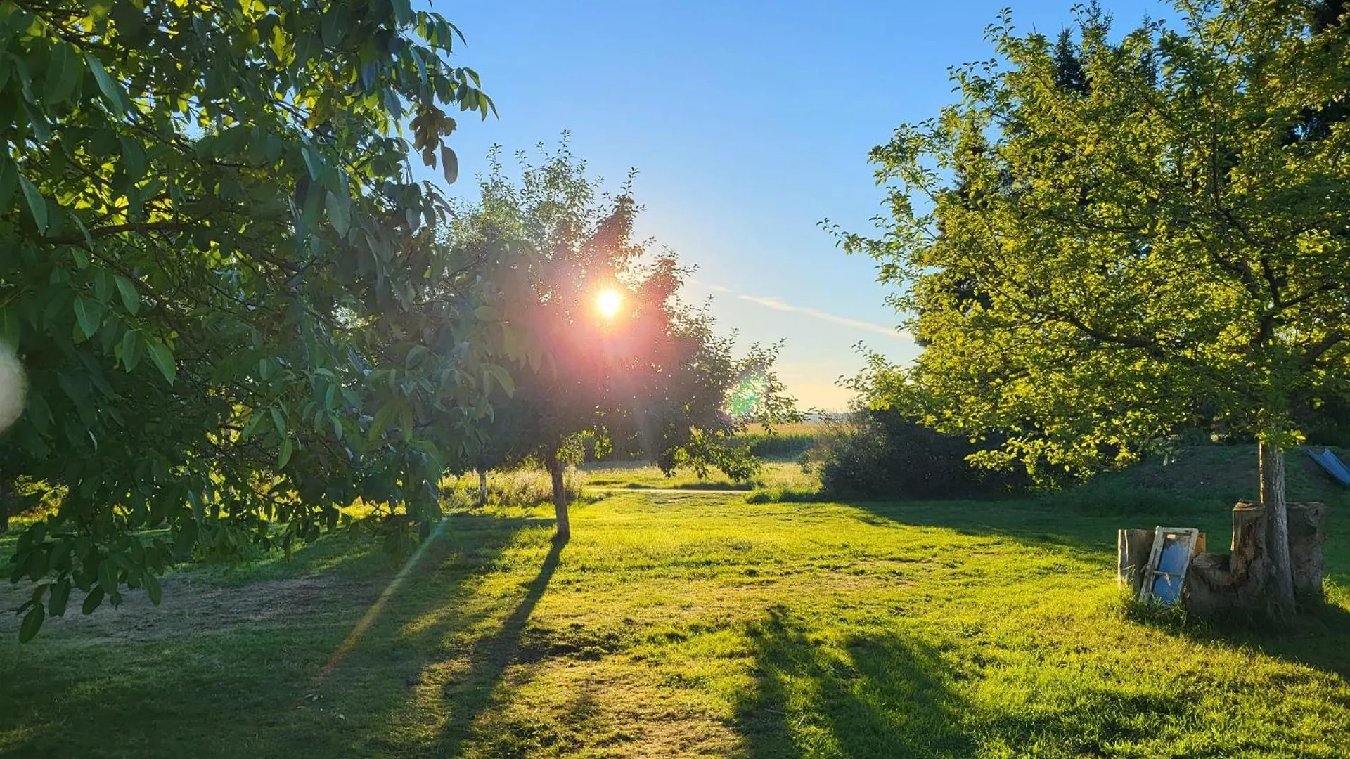 Ferienwohnung Sonnenschein Fuer Bis 4 Personen Bechhofen  0*, Bechhofen (Ansbach)